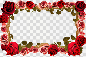 Vertical Rose frame PNG transparent background with copy space