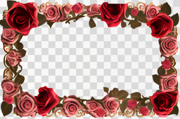 Vertical Rose frame PNG transparent background with copy space