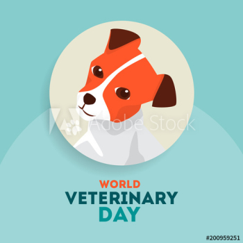 Veterinary day set