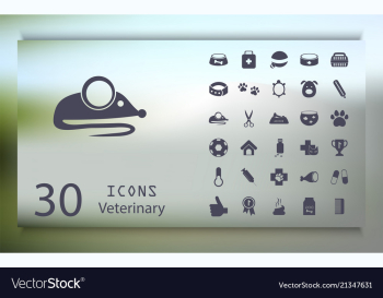 Veterinary dog medicine concept for your design vector image Veterinary dog medicine concept for your design vector image