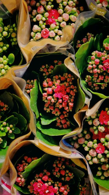 Vibrant Floral Arrangements Bundled with Greenery Vibrant Floral Arrangements Bundled with Greenery