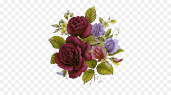 Victorian era Vintage clothing Flower Illustration - Hand-painted red roses 