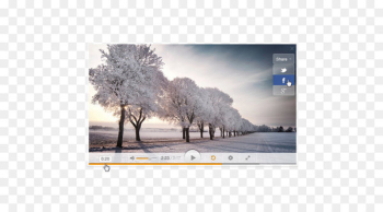 Video player User interface Media player - Video Player Video player User interface Media player - Video Player