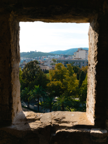 View From Window