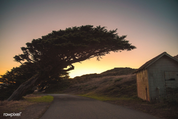 View of Point Reyes, United States | Free stock photo - 430080 View of Point Reyes, United States | Free stock photo - 430080