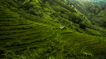 View of Terraces Carved Into the Mountains View of Terraces Carved Into the Mountains