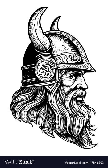 viking in a helmet