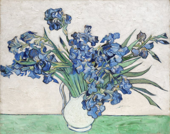 Vincent Van Gogh's Irises (1890). | Free Photo Illustration - rawpixel