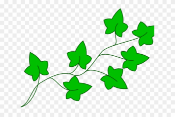 Vine Clipart Cartoon - Clip Art Aka Ivy Leaf