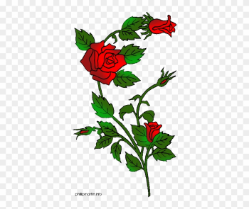 Vine Clipart Rose Thorns - Rose Clip Art Gif Vine Clipart Rose Thorns - Rose Clip Art Gif