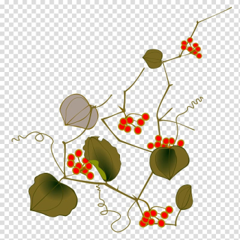 Vine Grape Fruit , handpainted flowers transparent background PNG clipart