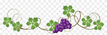 Vine - Grape Vine Border Png