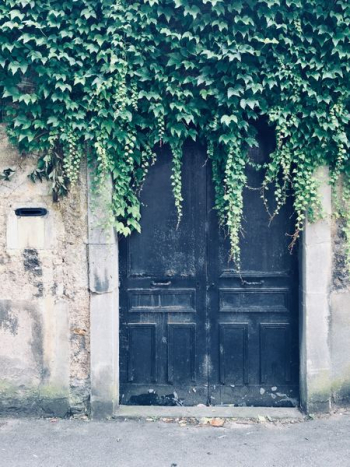 Vines Overgrow Aging Black Doors Vines Overgrow Aging Black Doors