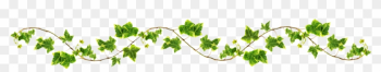 Vines Transparent Png Pictures - Ivy Border Clip Art