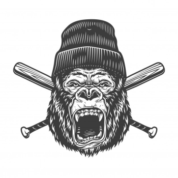 Vintage angry gorilla head in beanie hat Free Vector Vintage angry gorilla head in beanie hat Free Vector