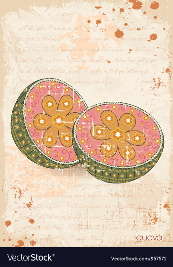 Vintage background vector image Vintage background vector image