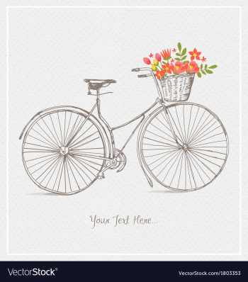 VINTAGE BICYCLES vector image VINTAGE BICYCLES vector image