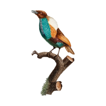 Vintage bird illustration Vintage bird illustration