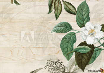 Vintage botanical frame design illustration Vintage botanical frame design illustration