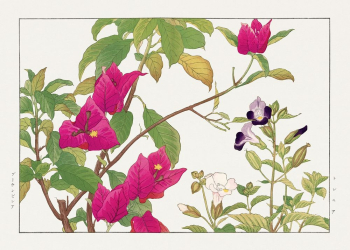 Vintage bougainvillea & torenia flower, | Free Photo Illustration - rawpixel