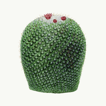 Vintage cactus illustration vector design | Free Vector Illustration - rawpixel Vintage cactus illustration vector design | Free Vector Illustration - rawpixel