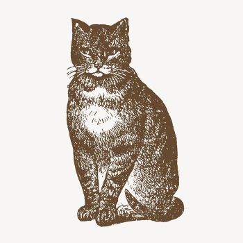 Vintage cat, animal illustration | Free Photo Illustration - rawpixel Vintage cat, animal illustration | Free Photo Illustration - rawpixel