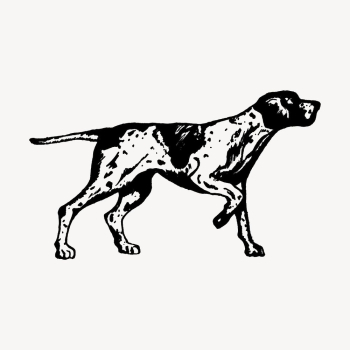 Vintage English pointer, dog illustration | Free Vector Illustration - rawpixel Vintage English pointer, dog illustration | Free Vector Illustration - rawpixel