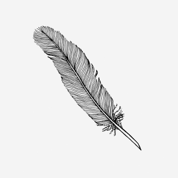 Vintage feather quill, stationery drawing. | Free Photo - rawpixel