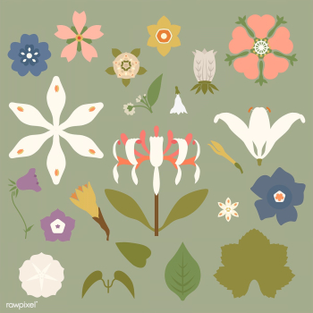 Vintage floral prints inspired by The Grammar.. | Free stock vector - 250281 Vintage floral prints inspired by The Grammar.. | Free stock vector - 250281