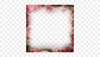 Vintage Flower Border Png Soave Frame Vintage Transparent - Red Flower Photo Frame Png Vintage Flower Border Png Soave Frame Vintage Transparent - Red Flower Photo Frame Png