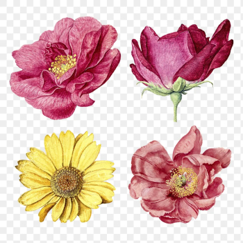 Vintage flower png sticker, aesthetic | Free PNG - rawpixel Vintage flower png sticker, aesthetic | Free PNG - rawpixel