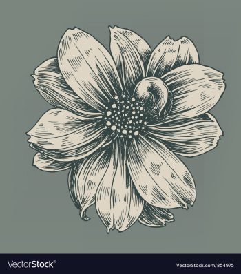 Vintage flower vector image