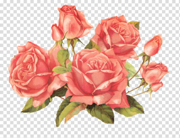 Vintage Flowers, pink flowers transparent background PNG clipart Vintage Flowers, pink flowers transparent background PNG clipart