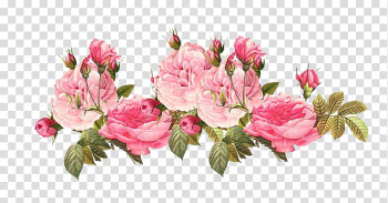 Vintage Flowers, pink petaled flower transparent background PNG clipart