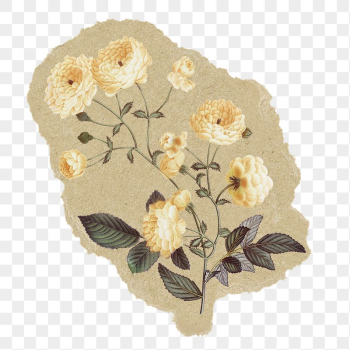 Vintage flowers png sticker, ripped | Free PNG Illustration - rawpixel