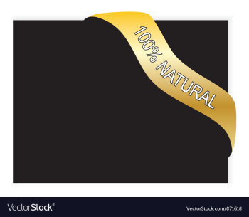 Vintage gold banner vector image