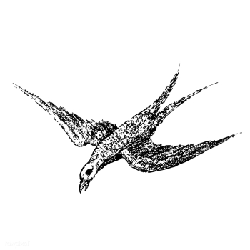 Vintage illustration of Bird | Free stock vector - 523706 Vintage illustration of Bird | Free stock vector - 523706