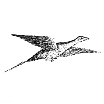 Vintage illustration of Bird | Free stock vector - 523790 Vintage illustration of Bird | Free stock vector - 523790