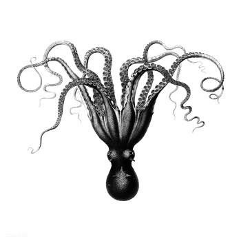 Vintage illustrations of Octopuses | Free stock vector - 523697 Vintage illustrations of Octopuses | Free stock vector - 523697