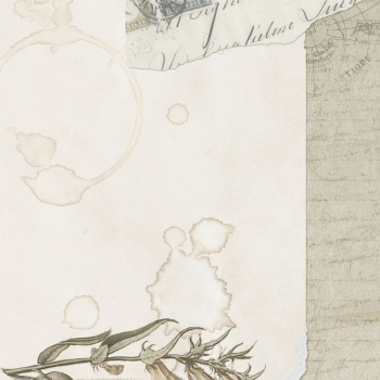 Vintage journal paper note with paper | Free Photo - rawpixel Vintage journal paper note with paper | Free Photo - rawpixel