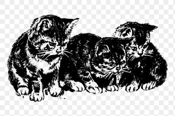 Vintage kittens png drawing sticker, | Free PNG - rawpixel Vintage kittens png drawing sticker, | Free PNG - rawpixel