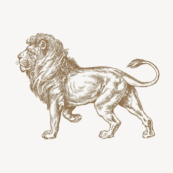 Vintage lion, animal illustration | Free Photo Illustration - rawpixel Vintage lion, animal illustration | Free Photo Illustration - rawpixel