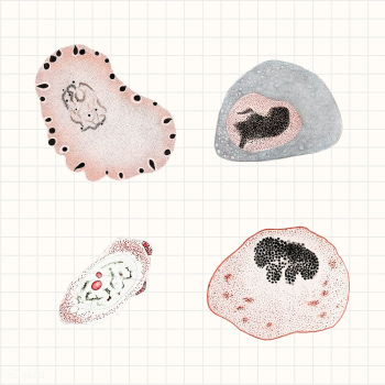 Vintage microscopic virus and bacteria illustration set psd mockup | Free  illustration - 2319781