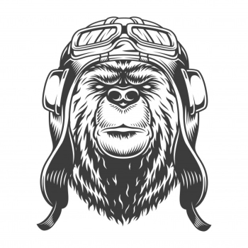 Vintage pilot bear head in helmet in monochrome style isolated vector illustration Free Vector