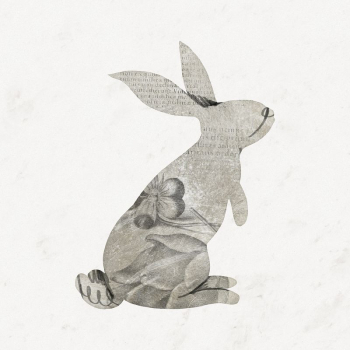 Vintage rabbit, paper texture, aesthetic | Free Photo Illustration - rawpixel Vintage rabbit, paper texture, aesthetic | Free Photo Illustration - rawpixel