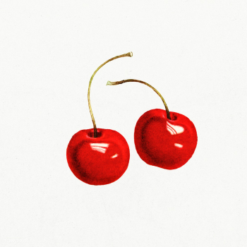 Vintage red cherries illustration. Digitally enhanced illustration fro.. | Free public domain illustration - 2289531