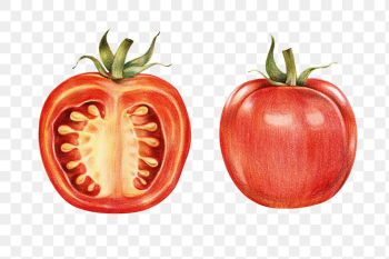 Vintage red tomato sticker png illustration Vintage red tomato sticker png illustration