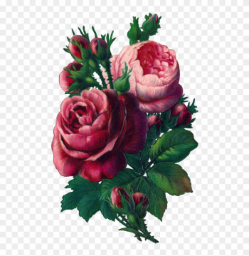 Vintage Rose Clip Art, Vintage Rose Decoupage, Some - Flower Vintage Rose Vintage Rose Clip Art, Vintage Rose Decoupage, Some - Flower Vintage Rose