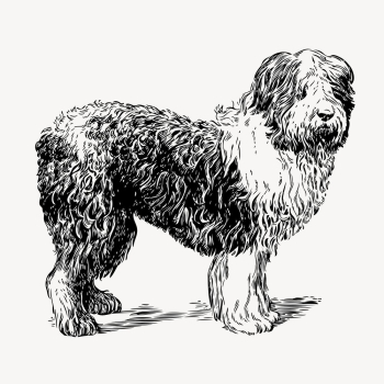 Vintage sheepdog, animal illustration vector. | Free Vector Illustration - rawpixel