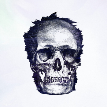 Vintage skull engraving style illustration | Free illustration - 2341538 Vintage skull engraving style illustration | Free illustration - 2341538